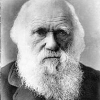 Charles Darwin Bild