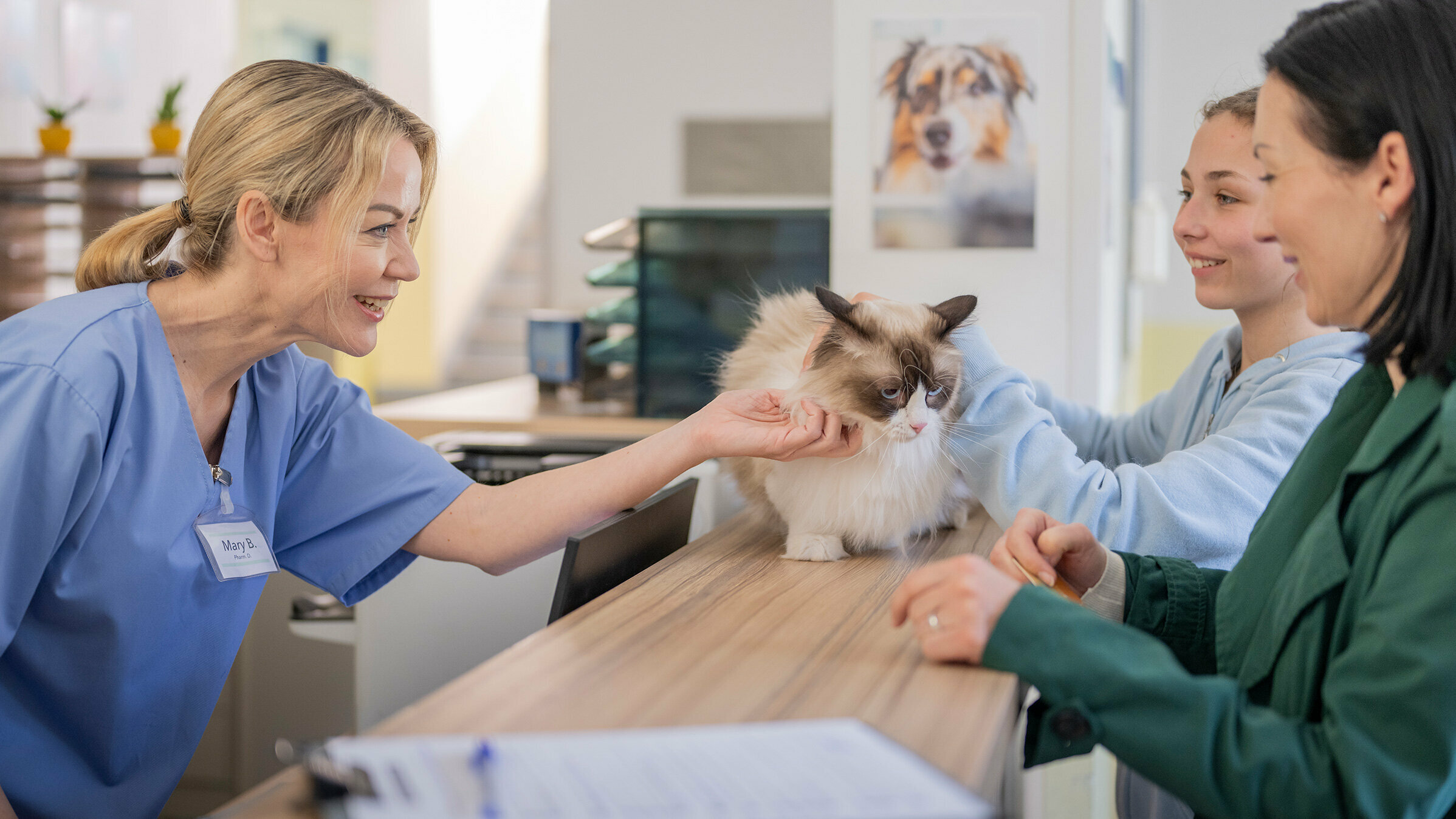 Mutter und Tocher sind mit ihrer Katze beim Tierarzt
