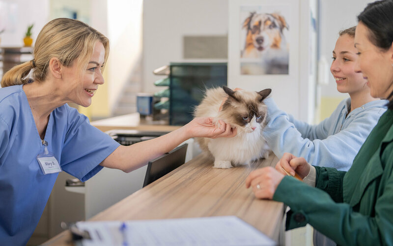 Mutter und Tocher sind mit ihrer Katze beim Tierarzt
