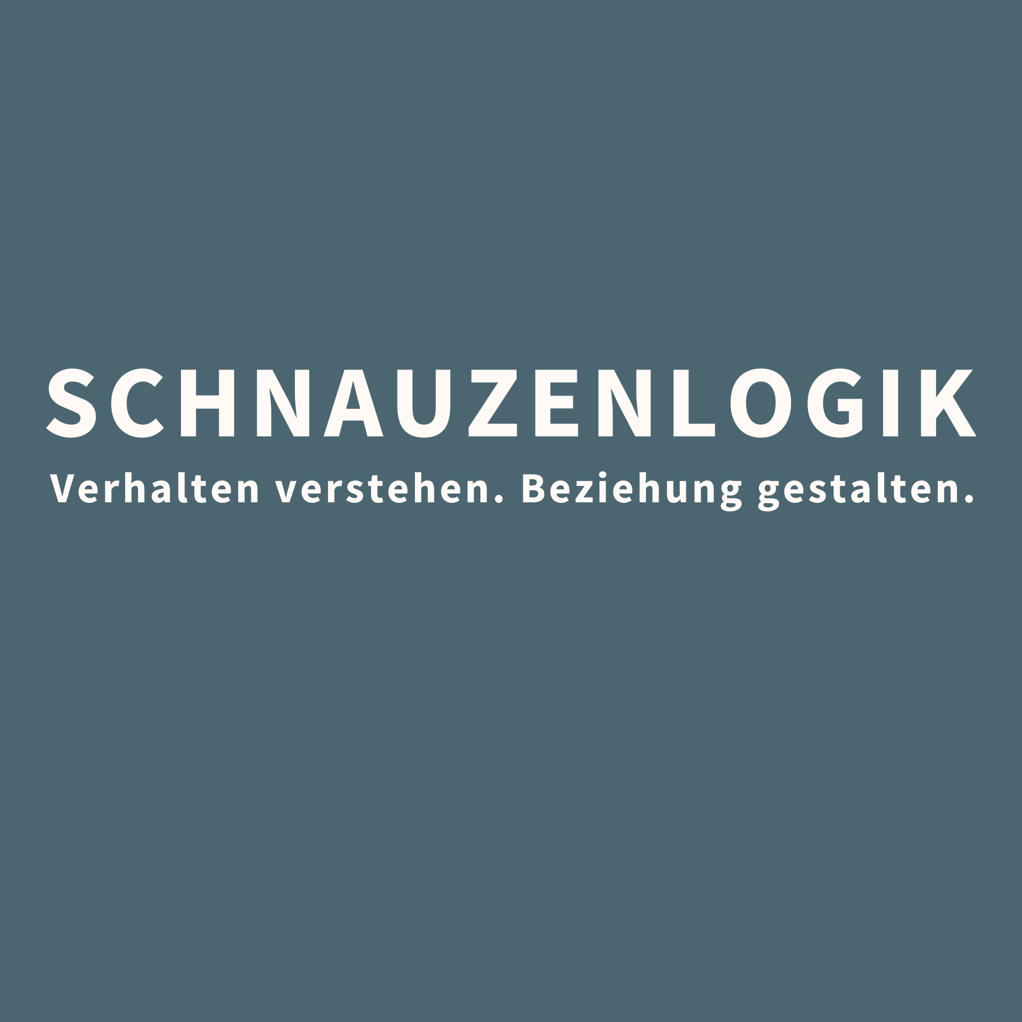 Schnauzenlogik