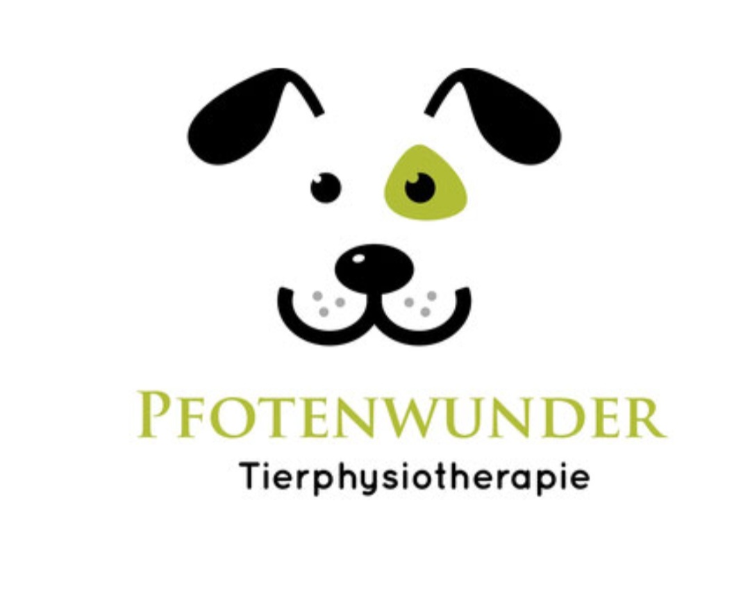 Pfotenwunder Tierphysiotherapie