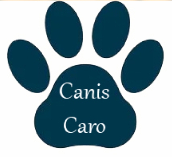 CanisCaro