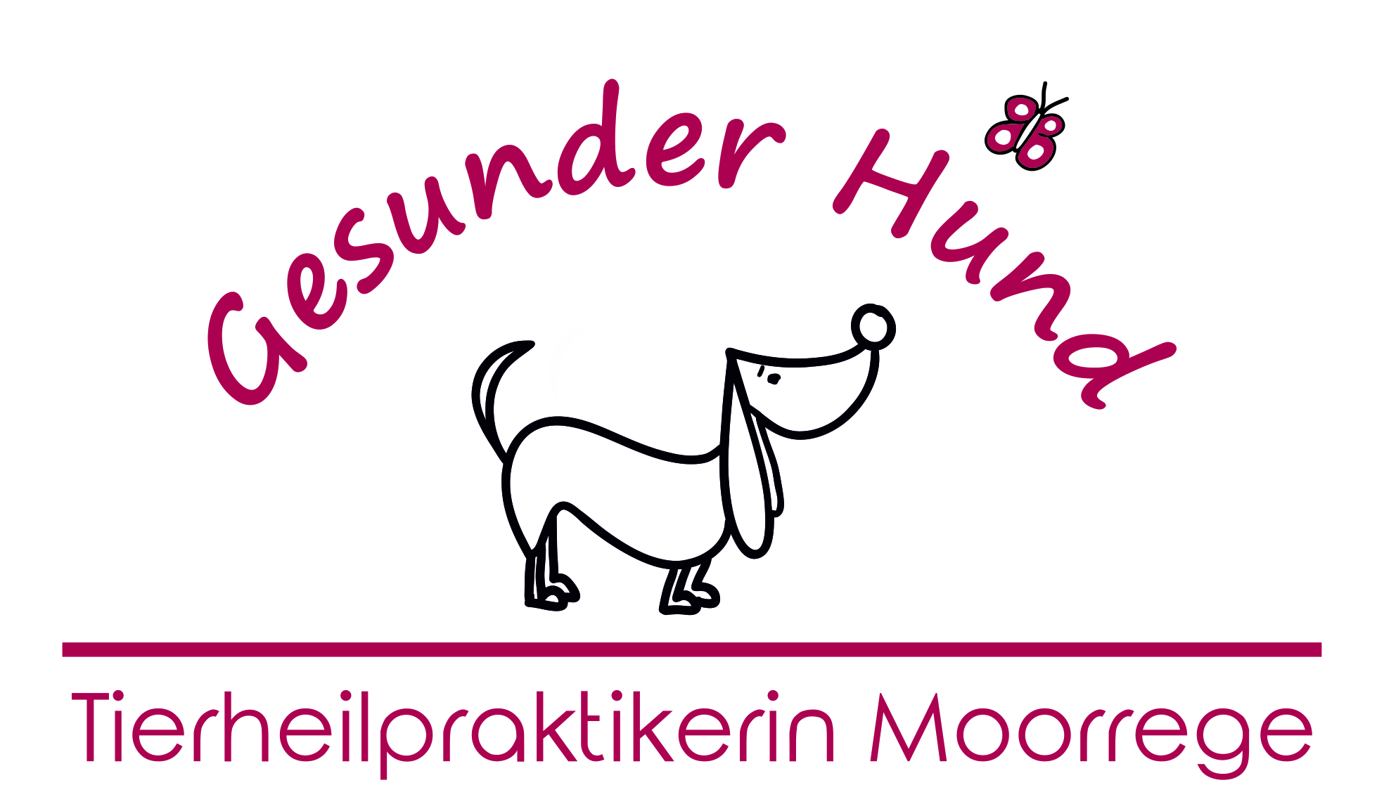 Gesunder Hund - Tierheilpraktikerin Moorrege