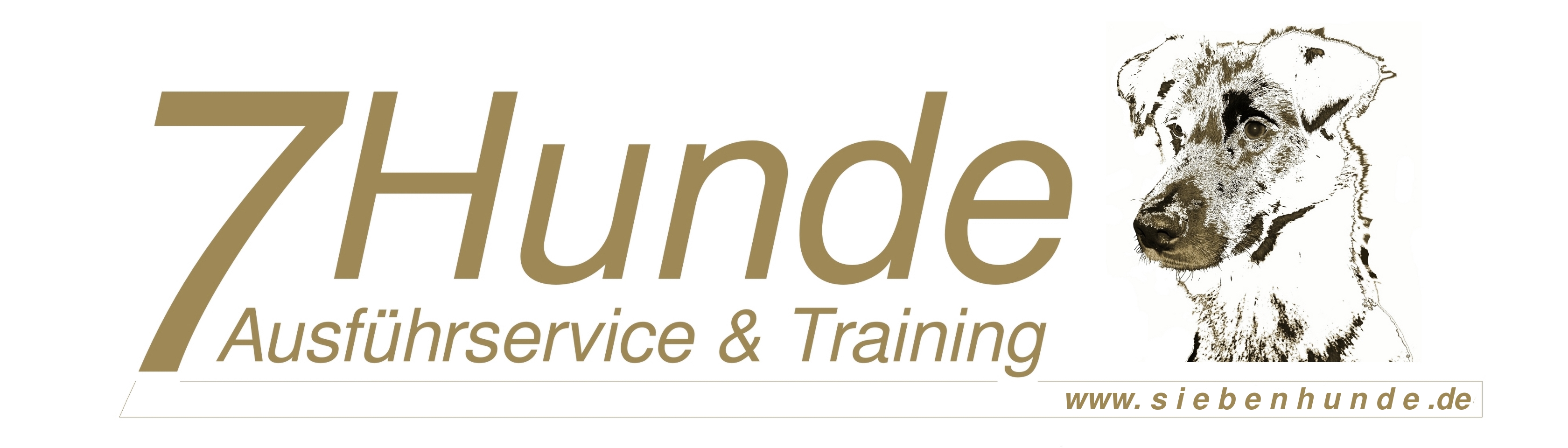 7Hunde - Ausführservice & Training