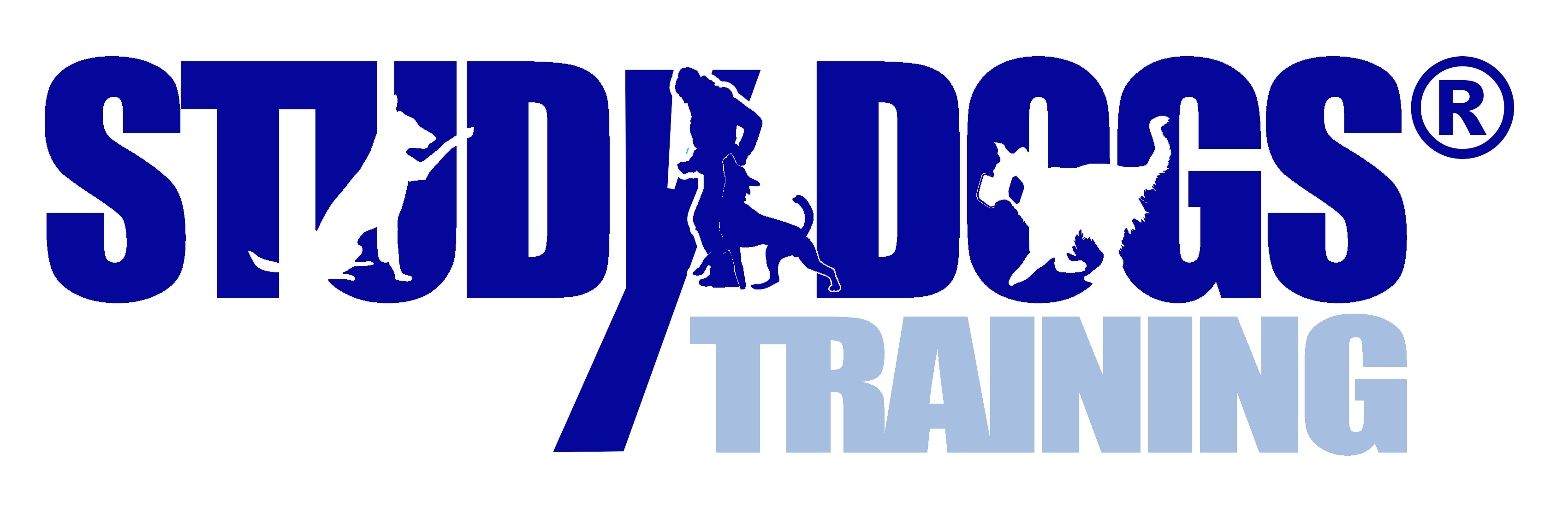 Hundezentrum Studydogs