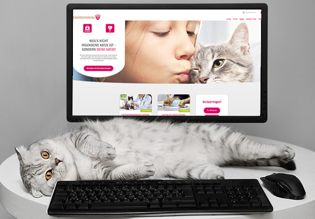 Katze liegt entspannt vor einem Computer