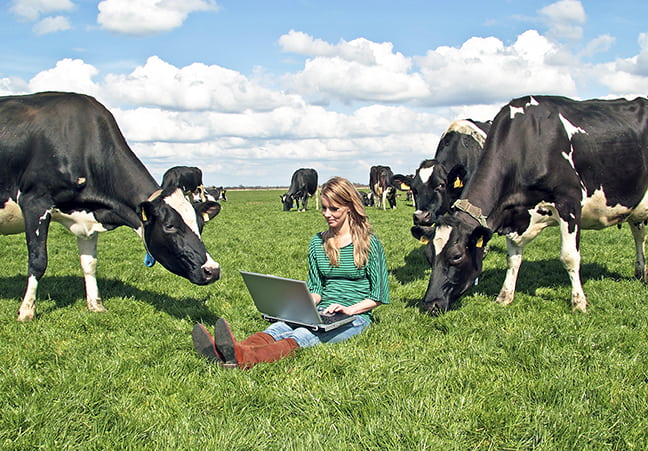 Frau sitzt auf Wiese mit Kühen