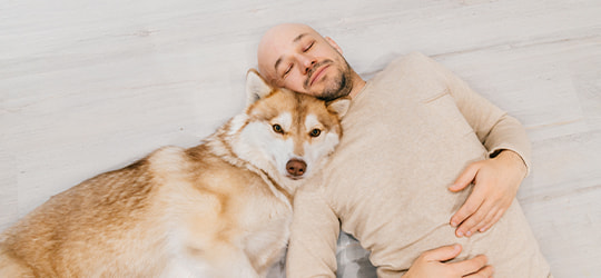 Beiger Husky kuschelt mit seinem Herrchen auf dem Boden