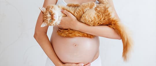 Schwangere Frau mit ihrer roten Katze auf dem Arm