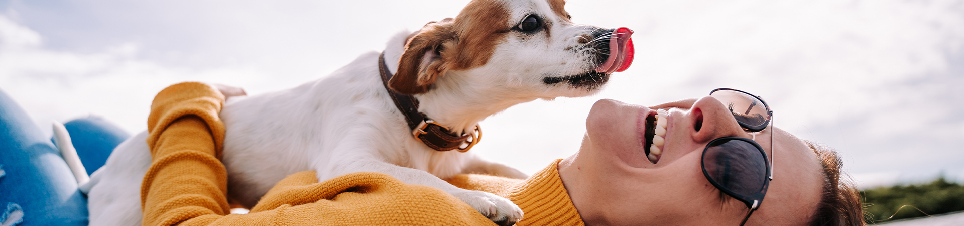 Kleiner Hund liegt auf seiner Besitzerin und hat die Zunge draußen