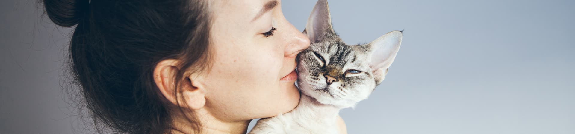 Katze kuschelt auf der Schulter seiner Besitzerin