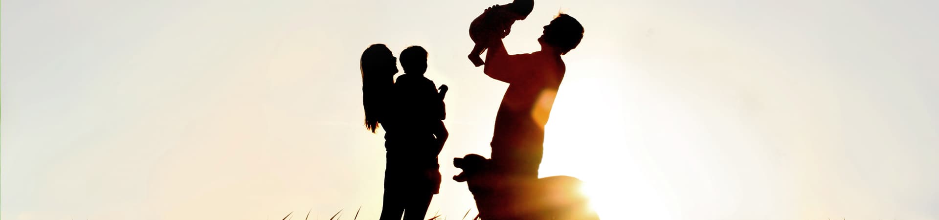 Hund ist mit seiner Familie auf einer Wiese bei Sonnenuntergang