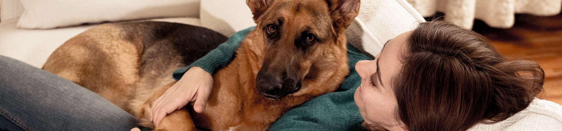 Schäferhund liegt mit seinem Frauchen auf der Couch