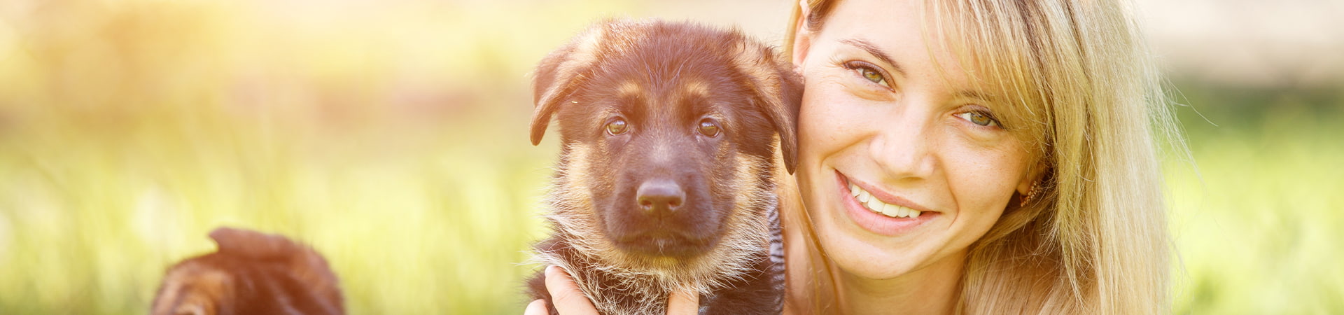 Schäferhund Welpe sitzt mit seinem Frauchen auf einer grünen Wiese