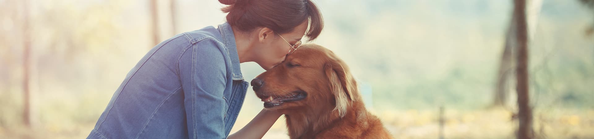 Brauner Hund wird von seiner Besitzerin auf die Stirn geküsst