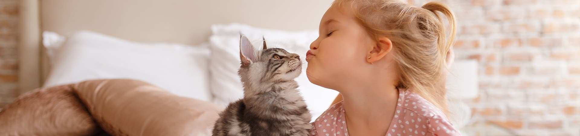 Maine-Coon Katze zusammen mit einem kleinen Mädchen