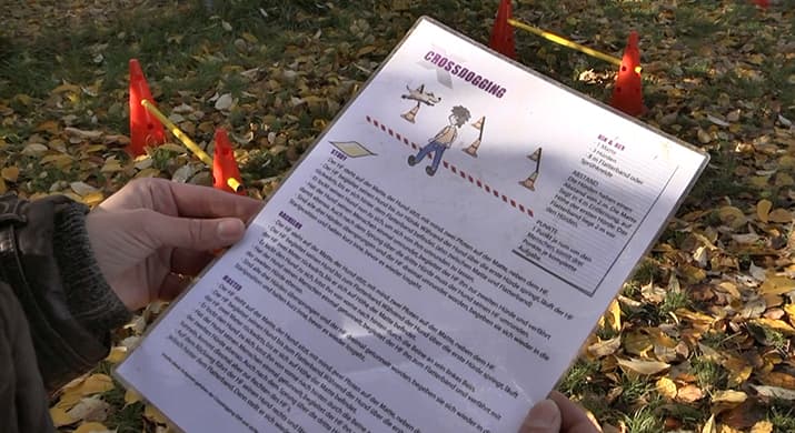 Crossdogging Anleitung Hürdensprung Anleitung für eine Hürdenübung