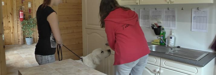 Mitarbeiterin begrüßt einen Hund mit einem Leckerchen