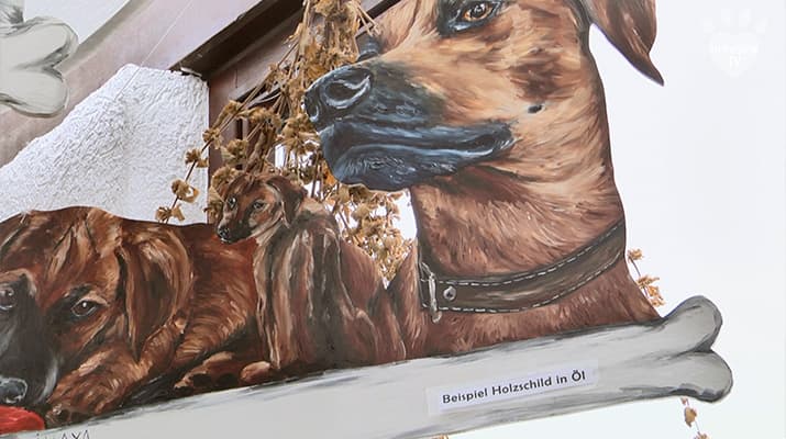Tierportraits auf Holzschildern in Öl
