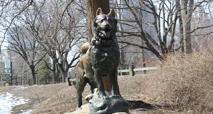 Statue von Balto im Central Park in der Mitte von New York 