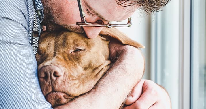 Mann hält seinen Hund im Arm und gibt ihm einen Kuss auf den Kopf